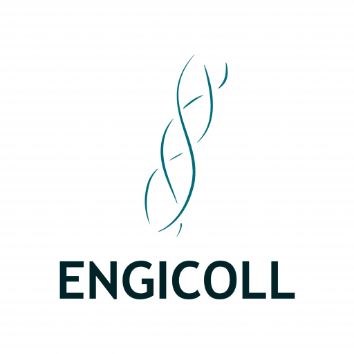 Engicoll